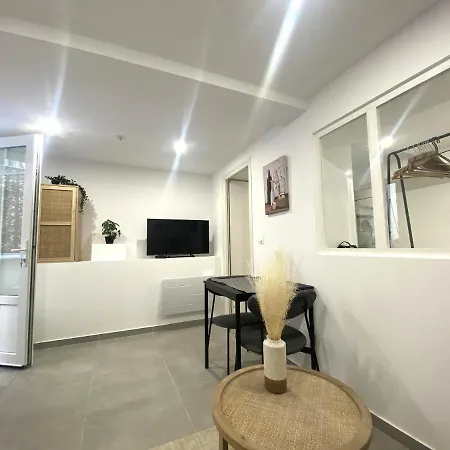Republique Centre A1 公寓 尼斯